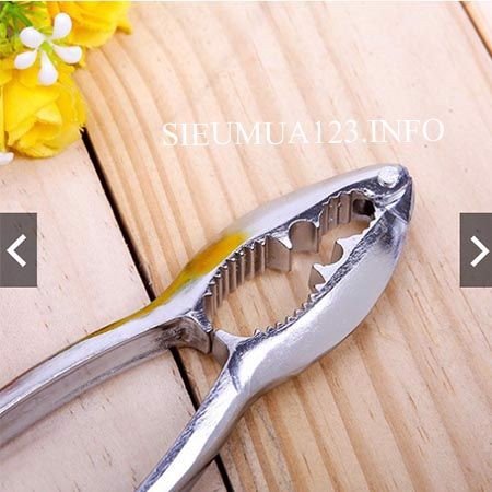 kep_cua_1-compressed_grande